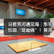 沿着黄河遇见海｜东平惊现“鸳鸯锅”！黄河流域生态保护成效显著(图2)