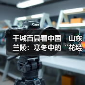 千城百县看中国｜山东兰陵：寒冬中的“花经济”(图3)