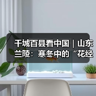 千城百县看中国｜山东兰陵：寒冬中的“花经济”(图4)