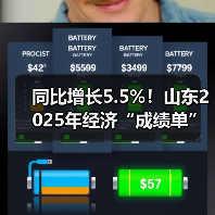 同比增长5.5%！山东2025年经济“成绩单”出炉(图4)