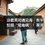 沿着黄河遇见海｜东平惊现“鸳鸯锅”！黄河流域生态保护成效显著(图4)