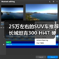 25万左右的SUV车推荐 长城坦克300 Hi4T 硬派也能省油(图1)