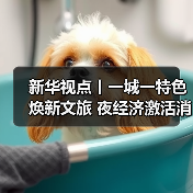 新华视点丨一城一特色焕新文旅 夜经济激活消费新引擎(图4) 新华视点丨一城一特色焕新文旅 夜经济激活消费新引擎(图3)
