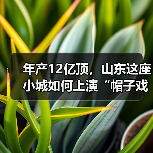 年产12亿顶，山东这座小城如何上演“帽子戏法”(图3)