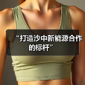 “打造沙中新能源合作的标杆”
