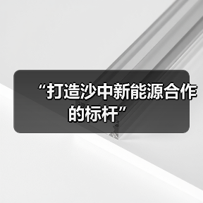 “打造沙中新能源合作的标杆”(图2)