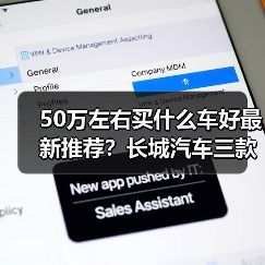 50万左右买什么车好最新推荐？长城汽车三款旗舰SUV全面对比(图2)