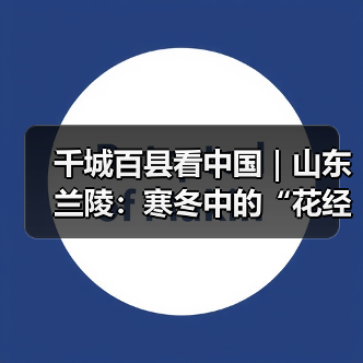 千城百县看中国|山东兰陵:寒冬中的“花经济”(图2) 千城百县看中国|山东兰陵:寒冬中的“花经济”(图2)