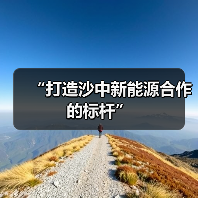 “打造沙中新能源合作的标杆”(图3)