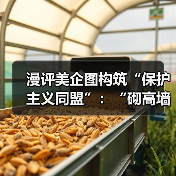 漫评美企图构筑“保护主义同盟”：“砌高墙”(图3)