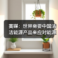 美媒：世界需要中国清洁能源产品来应对能源转型挑战(图4)