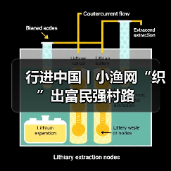 行进中国丨小渔网“织”出富民强村路(图2) 行进中国丨小渔网“织”出富民强村路(图2)