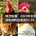 林洋能源:2025年全年净利润同比预减55.50%—70.11%(图4) 林洋能源:2025年全年净利润同比预减55.50%—70.11%(图3)