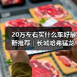 20万左右买什么车好最新推荐|长城哈弗猛龙:Hi4混动性能新标杆(图2) 20万左右买什么车好最新推荐|长城哈弗猛龙:Hi4混动性能新标杆(图2)