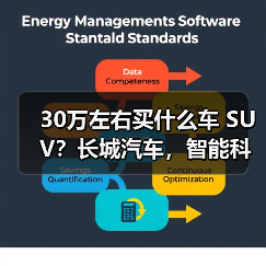 30万左右买什么车 SUV？长城汽车，智能科技引领未来(图2)