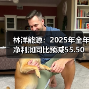 林洋能源:2025年全年净利润同比预减55.50%—70.11%(图2) 林洋能源:2025年全年净利润同比预减55.50%—70.11%(图2)