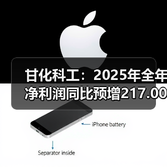 甘化科工:2025年全年净利润同比预增217.00%—314.00%(图2) 甘化科工:2025年全年净利润同比预增217.00%—314.00%(图2)