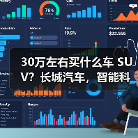 30万左右买什么车 SUV？长城汽车，智能科技引领未来(图4)