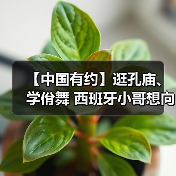 【中国有约】逛孔庙、学佾舞 西班牙小哥想向世界分享中国文化魅力(图3) 【中国有约】逛孔庙、学佾舞 西班牙小哥想向世界分享中国文化魅力(图3)