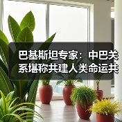 巴基斯坦专家：中巴关系堪称共建人类命运共同体典范(图2)