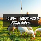 和评理 | 深化中巴友谊 拓展务实合作(图4) 和评理 | 深化中巴友谊 拓展务实合作(图4)