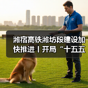 潍宿高铁潍坊段建设加快推进丨开局“十五五” 奋斗正当时(图3)