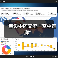 架设中阿交流“空中走廊”(图1) 架设中阿交流“空中走廊”(图1)