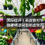 国际锐评丨菲政客对华强硬喊话背后的虚张声势(图3) 国际锐评丨菲政客对华强硬喊话背后的虚张声势(图3)