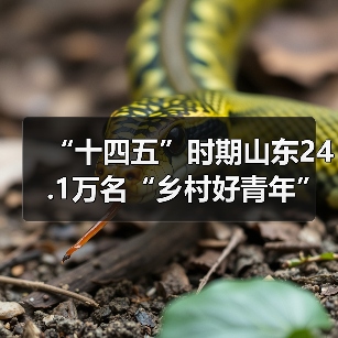 “十四五”时期山东24.1万名“乡村好青年”建功乡村(图4)