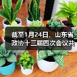 截至1月24日,山东省政协十三届四次会议共收到提案549件(图4) 截至1月24日,山东省政协十三届四次会议共收到提案549件(图4)