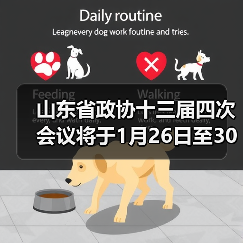 山东省政协十三届四次会议将于1月26日至30日上午举行(图4) 山东省政协十三届四次会议将于1月26日至30日上午举行(图4)
