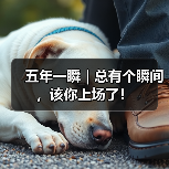 五年一瞬｜总有个瞬间，该你上场了！(图4)
