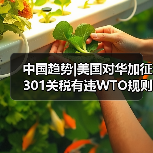中国趋势|美国对华加征301关税有违WTO规则(图2)