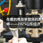 在量的高原攀登质的高峰——2025山东经济社会运行情况解读②(图2) 在量的高原攀登质的高峰——2025山东经济社会运行情况解读②(图2)