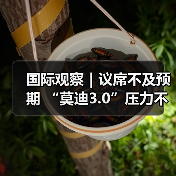国际观察|议席不及预期 “莫迪3.0”压力不小(图3) 国际观察|议席不及预期 “莫迪3.0”压力不小(图3)