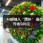 AI眼镜入“国补” 最高可省500元(图3) AI眼镜入“国补” 最高可省500元(图3)