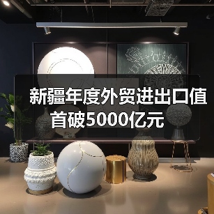 新疆年度外贸进出口值首破5000亿元(图2) 新疆年度外贸进出口值首破5000亿元(图2)