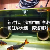 新时代,我看中国|摩洛哥驻华大使:摩洛哥对“一带一路”建设雄心勃勃(图3) 新时代,我看中国|摩洛哥驻华大使:摩洛哥对“一带一路”建设雄心勃勃(图3)