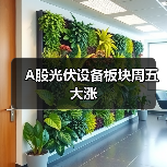 A股光伏设备板块周五大涨(图4) A股光伏设备板块周五大涨(图4)