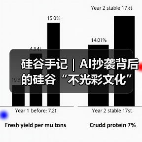 硅谷手记|AI抄袭背后的硅谷“不光彩文化”(图2) 硅谷手记|AI抄袭背后的硅谷“不光彩文化”(图2)