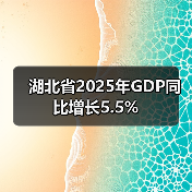 湖北省2025年GDP同比增长5.5%(图2) 湖北省2025年GDP同比增长5.5%(图2)