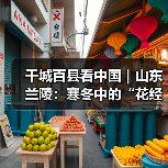 千城百县看中国|山东兰陵:寒冬中的“花经济”(图2) 千城百县看中国|山东兰陵:寒冬中的“花经济”(图2)