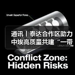 通讯丨泰达合作区助力中埃高质量共建“一带一路”(图2)