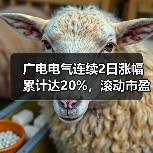 广电电气连续2日涨幅累计达20%，滚动市