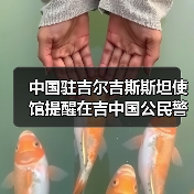 中国驻吉尔吉斯斯坦使馆提醒在吉中国公民警惕“换汇”骗局(图3) 中国驻吉尔吉斯斯坦使馆提醒在吉中国公民警惕“换汇”骗局(图3)