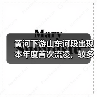 黄河下游山东河段出现本年度首次流凌，较多