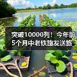 突破10000列!今年前5个月中老铁路发送旅客872万人次(图3) 突破10000列!今年前5个月中老铁路发送旅客872万人次(图3)
