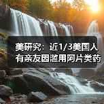 美研究:近1/3美国人有亲友因滥用阿片类药物丧生(图2) 美研究:近1/3美国人有亲友因滥用阿片类药物丧生(图2)