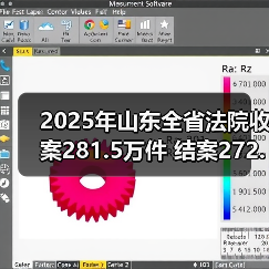 2025年山东全省法院收案281.5万件 结案272.8万件(图3) 2025年山东全省法院收案281.5万件 结案272.8万件(图3)