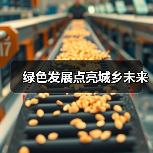 绿色发展点亮城乡未来(图4) 绿色发展点亮城乡未来(图4)